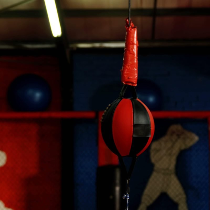 Double End Bag boxing gym
