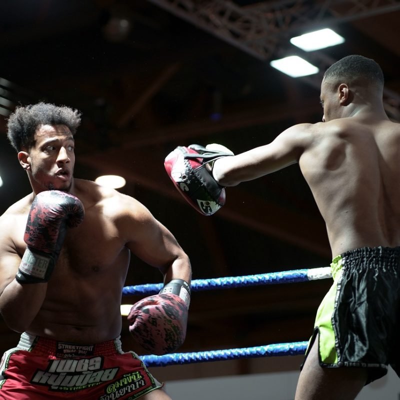 boxing shorts featured image