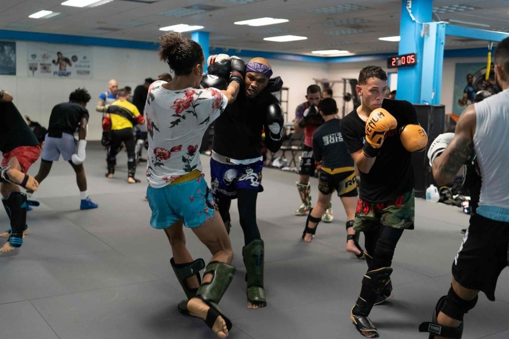 mma shin guards featured image