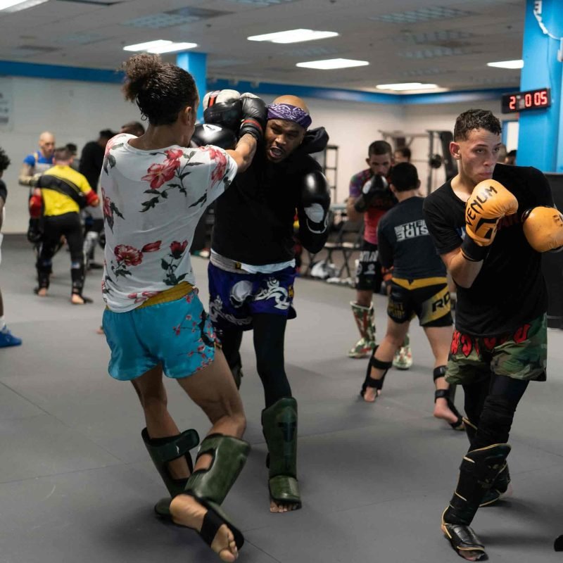 mma shin guards featured image